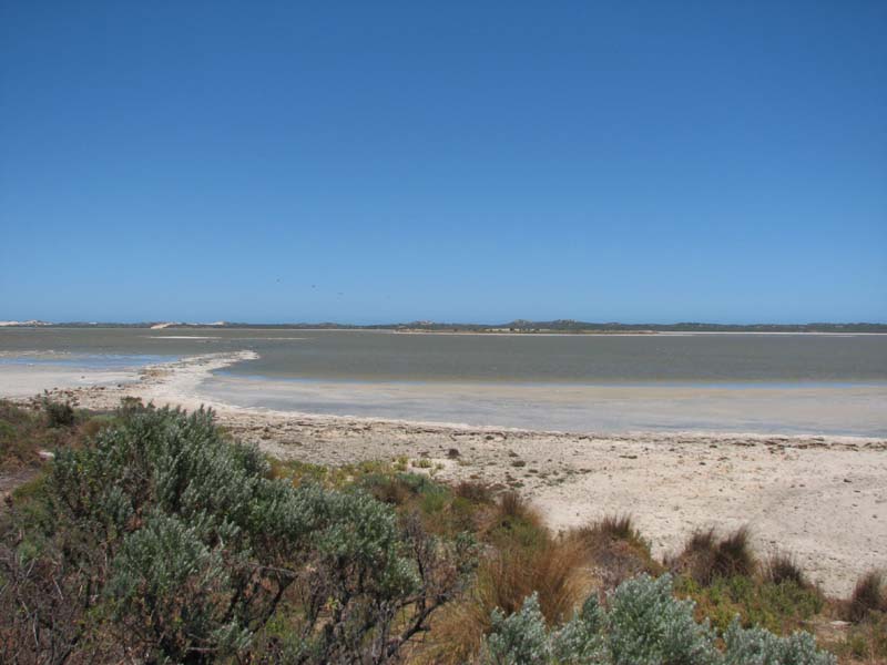 The Coorong